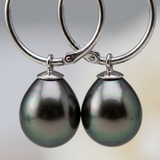 Créoles JANE | Or Blanc & Perles de Tahiti