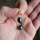 Boucles d'oreilles or jaune 9 carats et perles de culture noires de Tahiti, tenues en main.