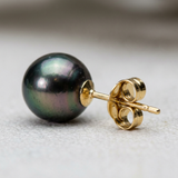 Puces d'oreilles AMY | Or Jaune & Perles de Tahiti