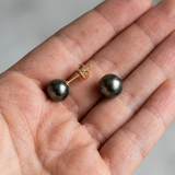 Puces d'oreilles AMY | Or Jaune & Perles de Tahiti